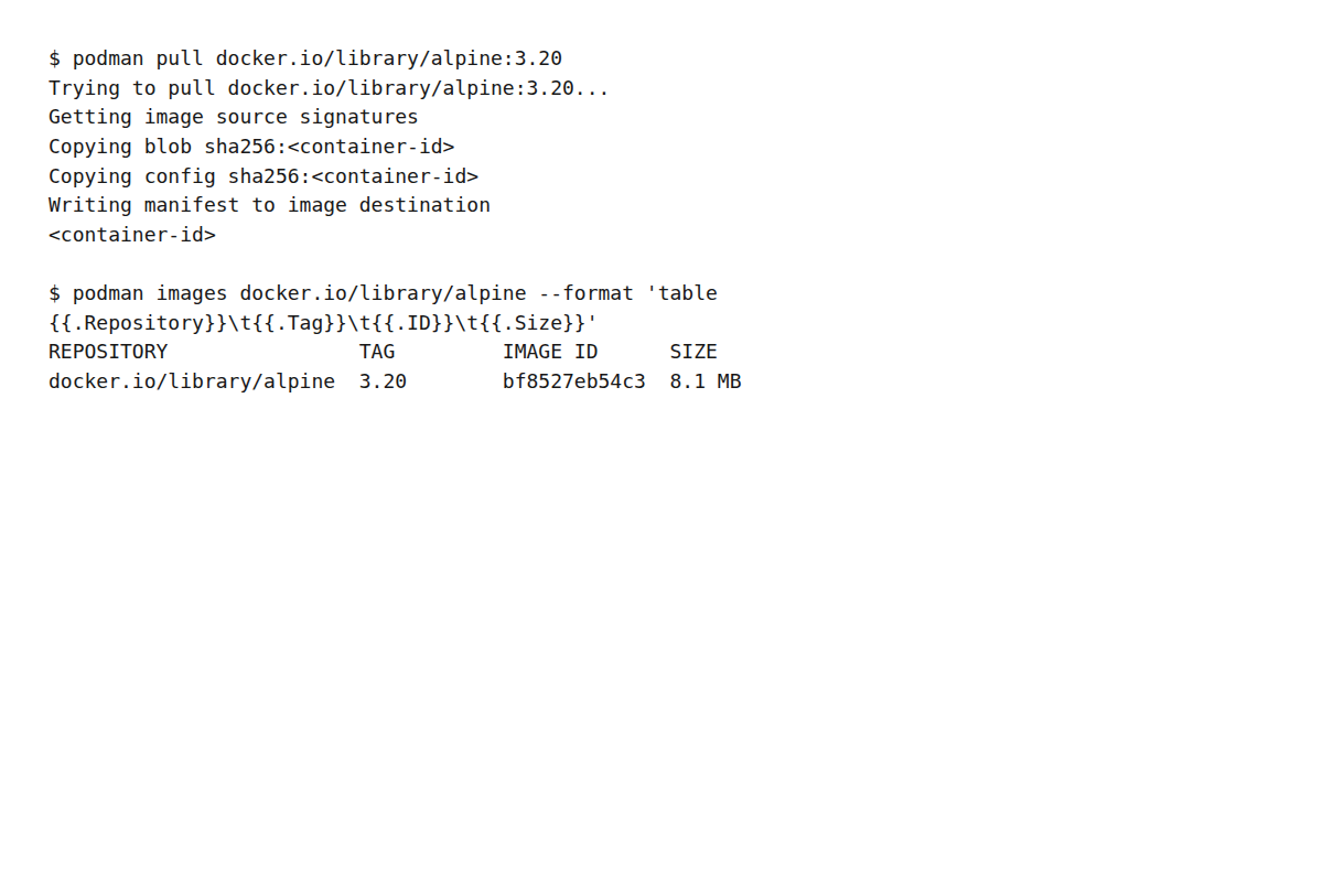 pullしたimageのtag・ID・sizeがinventoryへ反映されたか判断する出力